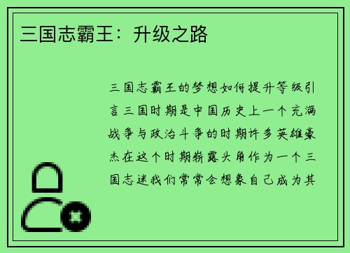 三国志霸王：升级之路