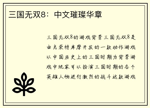 三国无双8：中文璀璨华章